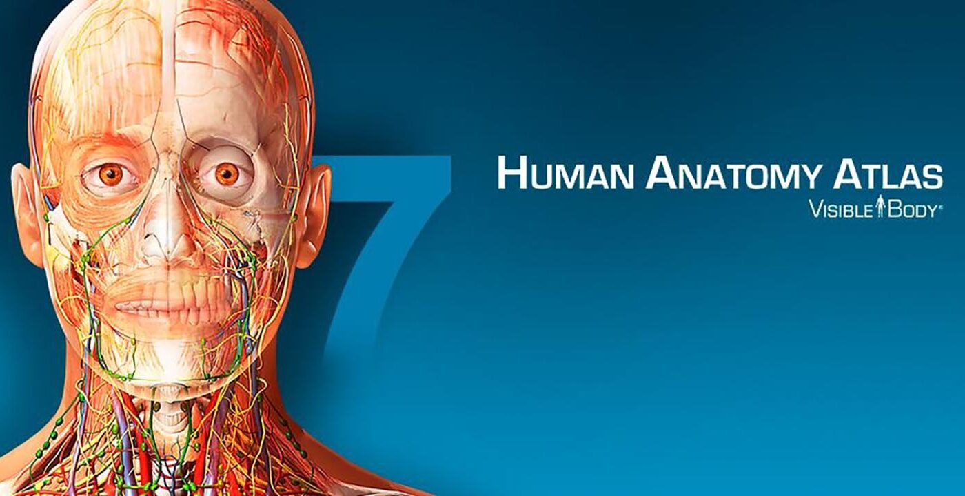 Human Anatomy Atlas