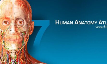 Human Anatomy Atlas